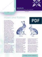 Hares & Rabbits Factsheet