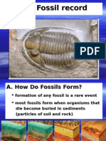 III. The Fossil Record