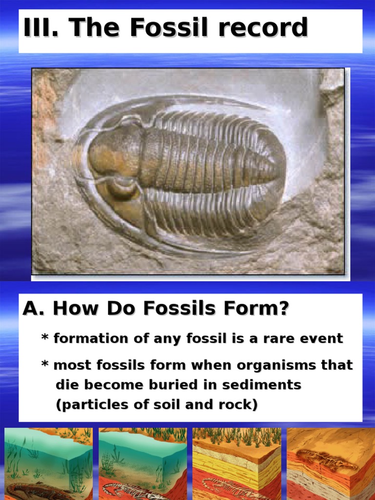 6 3 Fossil Radioactive Decay