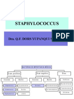 STAPHYLOCOCUS