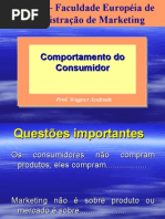 Comportamento Do Consumidor Introducao
