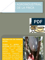 Proceso Agroindustrial Del Café de La Finca Integral
