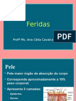 Classificação de Feridas