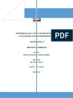 MEtodos Numericos