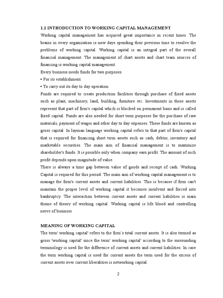 Introduction To The Sports Goods Industry PDF Working Capital