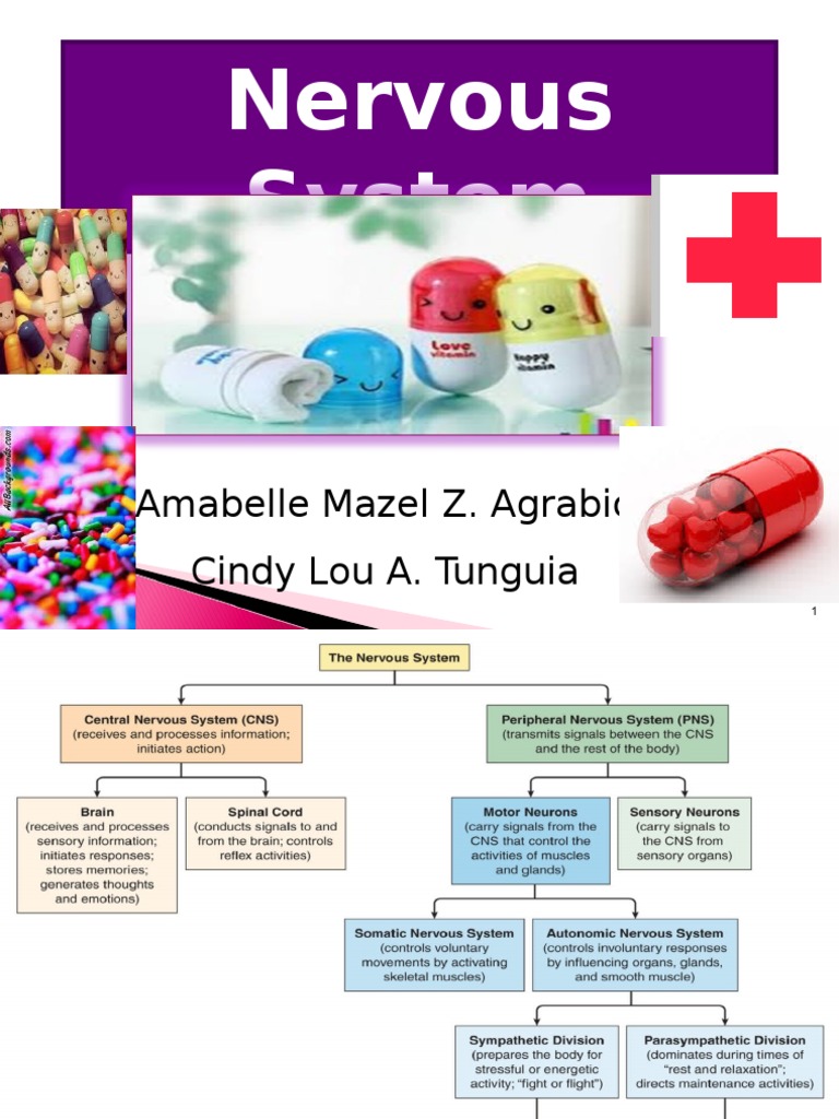 Overview of CNS Drugs and Effects | PDF | Opioid | Benzodiazepine