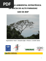 Livro Verde_Pantanal.pdf