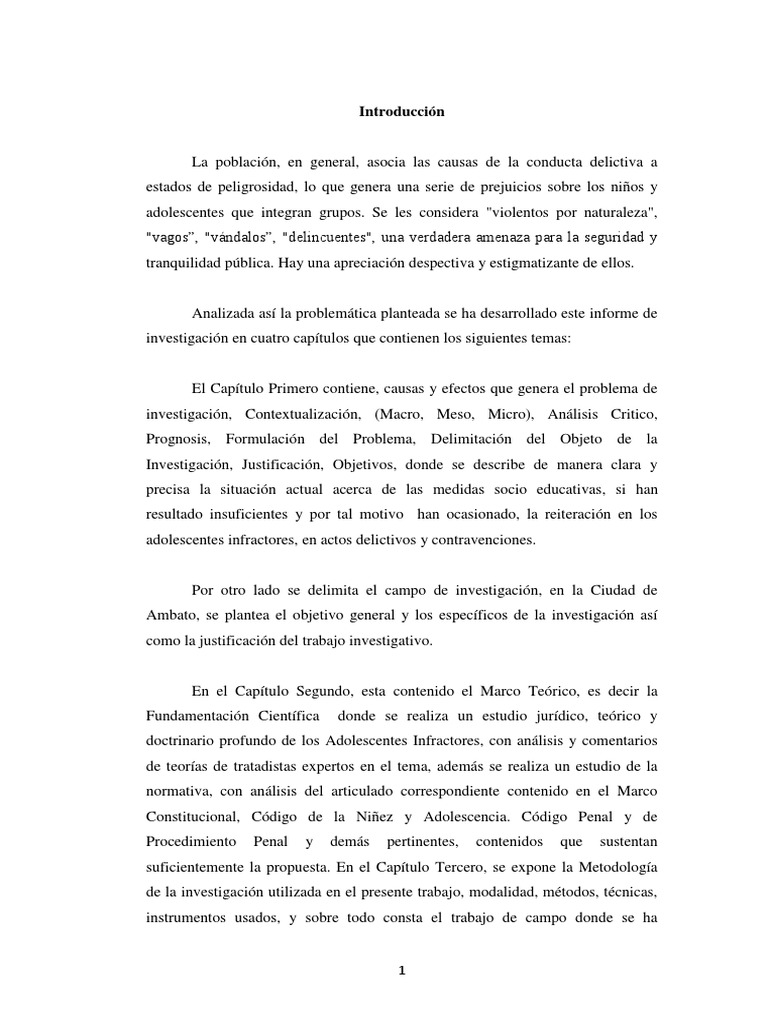 Medidas Socioeducativas y Delincuencia Juvenil | PDF | Delito | Derecho ...