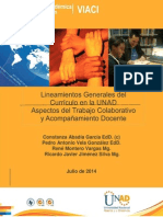 Lineamientos Del Trabajo Colaborativo y El Acompanamiento Docente