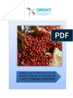 Normas de Competencia Del Productor de Plantones de Cafe y Especies Asociadas Actualizadas 2201