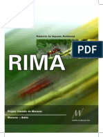 RIMA_VANADIO.pdf