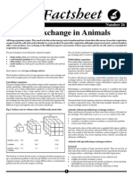 Gas Exchange in Animals