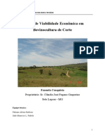Estudo de viabilidade fazenda Conquista