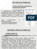 Sistema Circulatorio II