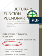 Estructura y Función Pulmonar Final