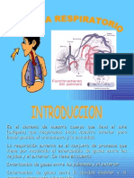 Sistema Respiratorio