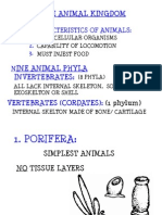 The Animal Kingdom: Basic Characteristics of Animals: 1. 2. 3. N