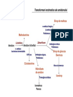 Scheme Tehnologice Amidon