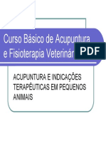 Curso Básico de Acupuntura e Fisioterapia Veterinária - Slides Em PDF