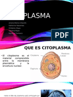 Cito Plasma - Biologia