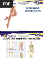 Anatomia Do Pé