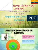 Hepatitis Por Cuerpos de Inclusión