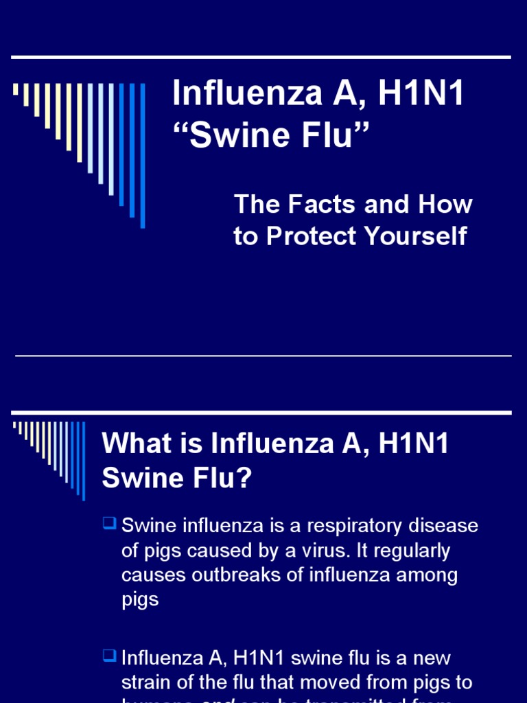 h1n1 Swine Flu Presentation | PDF | Swine Influenza | Influenza