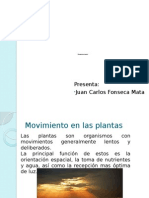 Movimientos de Las Plantas