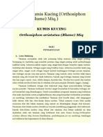 Download Makalah Kumis Kucing by New Robin Al Muchorobbin SN256516762 doc pdf