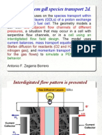 Reporte 2 Pem Gdl Species Transport 2d