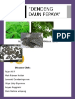 Bussines Plan Dendeng Daun Pepaya