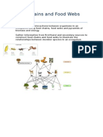 Food Chains and Food Webs Notes