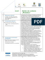 Plan Afaceri Croitorie .PDF