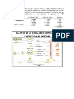 Bioquimica General (Balance Bioenergetico)