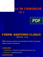 Curs6 Infectiile in Chirurgie