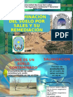 Contaminacion de Suelos Por Sales y Su Remediacion