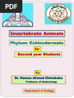 Download Phylum Echinodermata by HamzaShabaka SN256547172 doc pdf