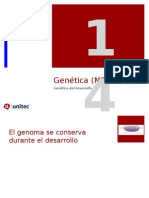 Tema 14 Predicciones Geneticas