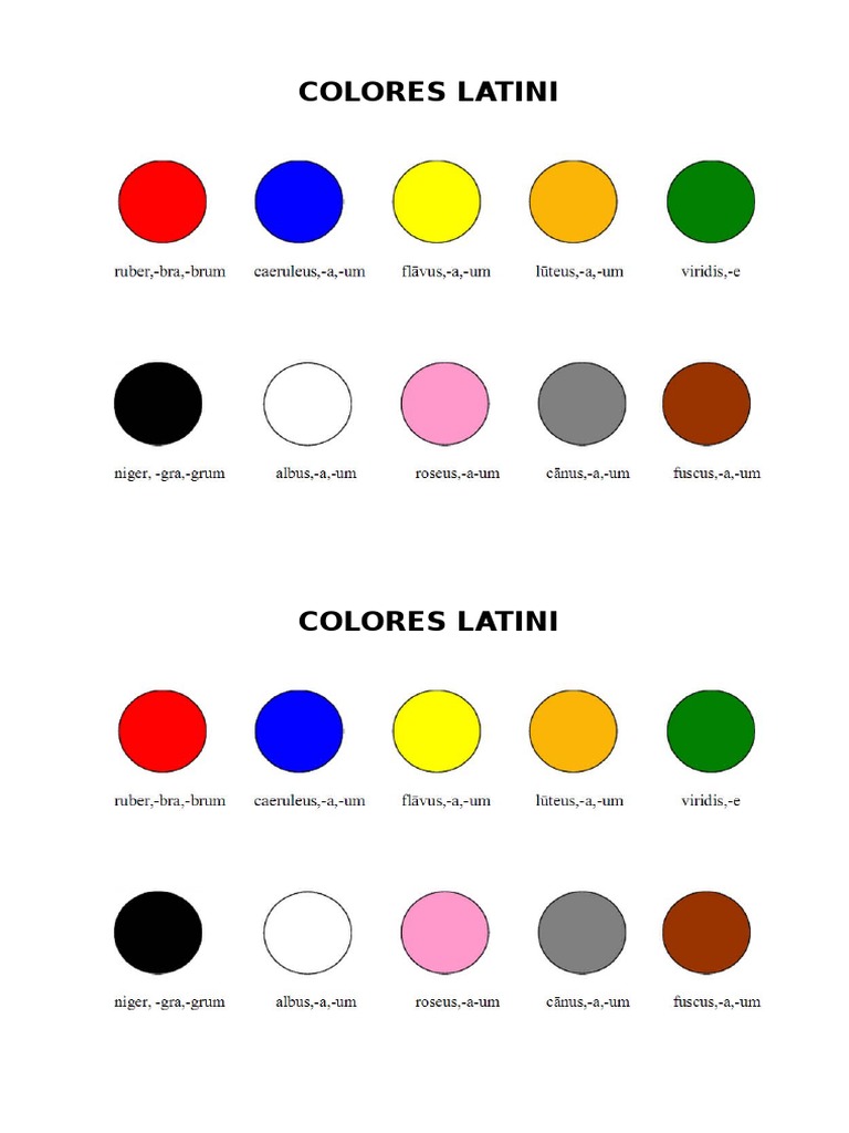 Latin-Based Words For Colors And Other Things – RTVST