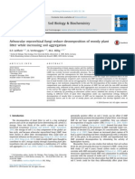 Arbuscular Mycorrhizal Fungi Reduce Decomposition of Woody Plant