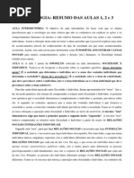 RESUMOS DAS AULAS 1, 2 E 3 (S).pdf