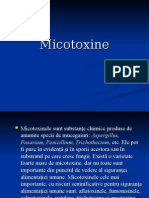 Micotoxine.ppt