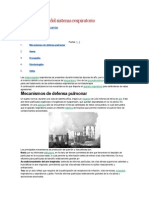 Enfermedadesenfermedades Del Sistema Respiratorio