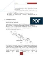 Microorganismos capaces de hidrolizar almidón y fermentar carbohidratos