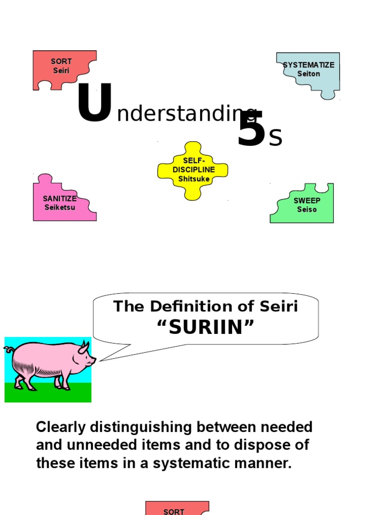 Nderstanding: Sort Seiri Systematize Seiton | PDF | Audit | Business