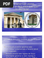 43000270 6 Sinteza Proteinelor La Eucariote