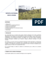 Hidrologia en Cuencas Con Informacion Escasa PDF