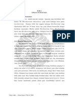 125833-S-5761-Faktor Risiko-Literatur PDF