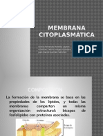 Membrana citoplasmática 