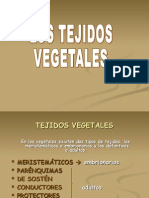 Tejidos Vegetales 